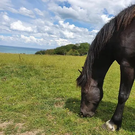 Hotell De La Terrasse