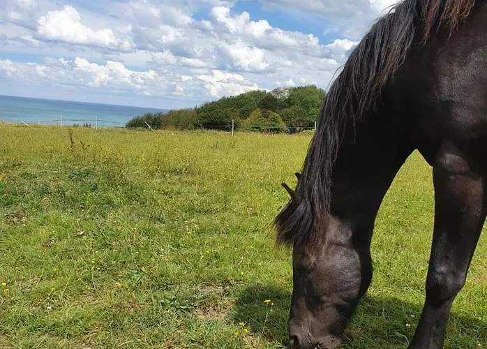 Hotel De La Terrasse